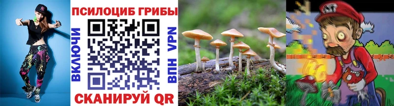 Галлюциногенные грибы Cubensis  Купить  Среднеуральск 